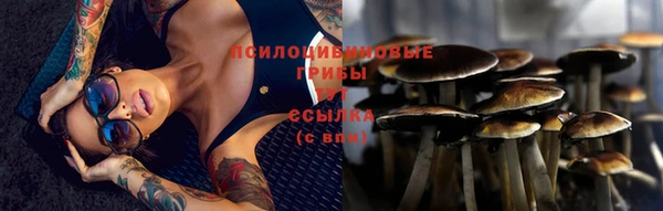 стаф Алексин