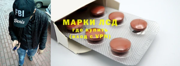 сатива Аркадак