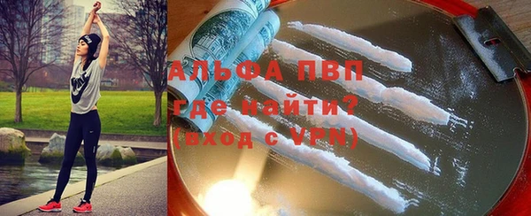 ешки Арсеньев