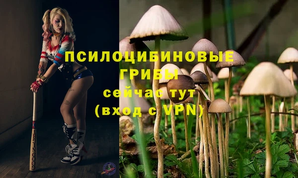 кокаин премиум Армянск