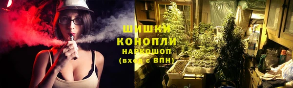 твердый Снежногорск